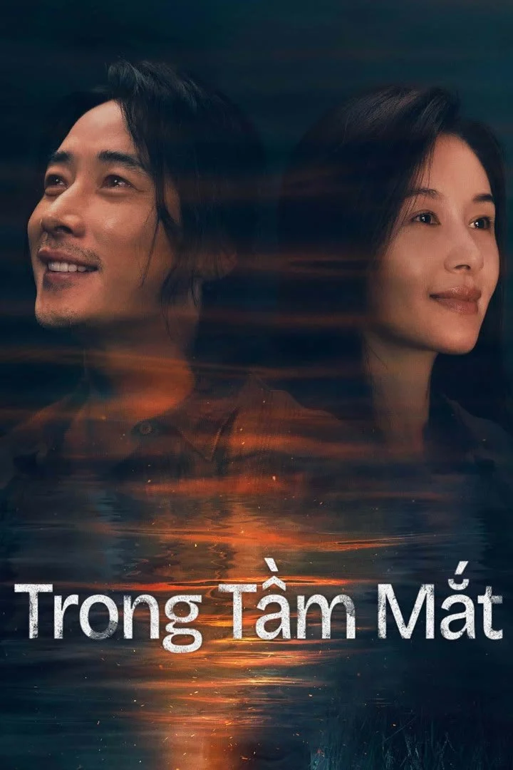 Trong Tầm Mắt